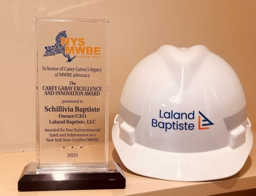 2025 Carey Gabay Excellence and Innovation Award